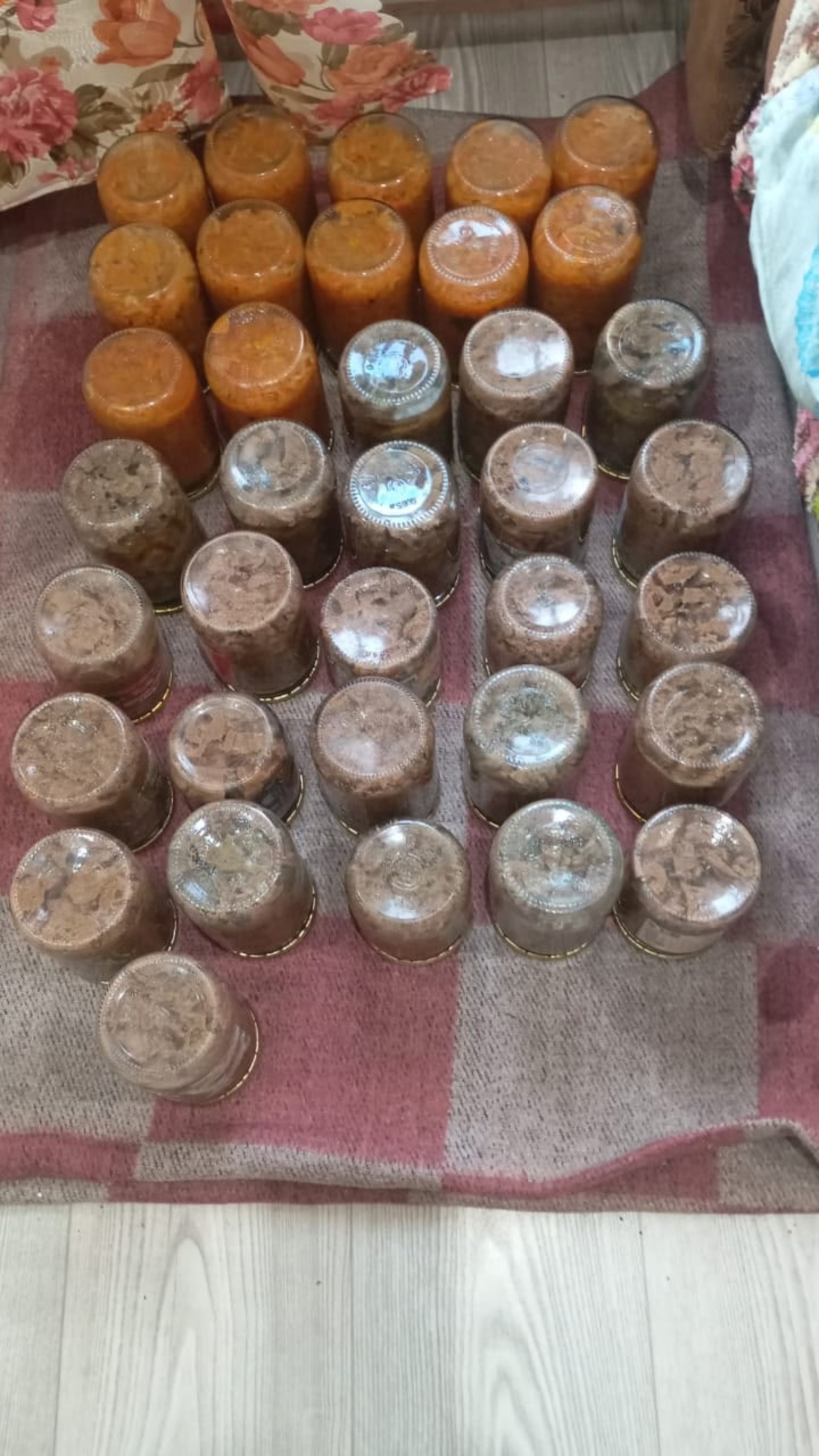 «Молодой» продолжает благие дела