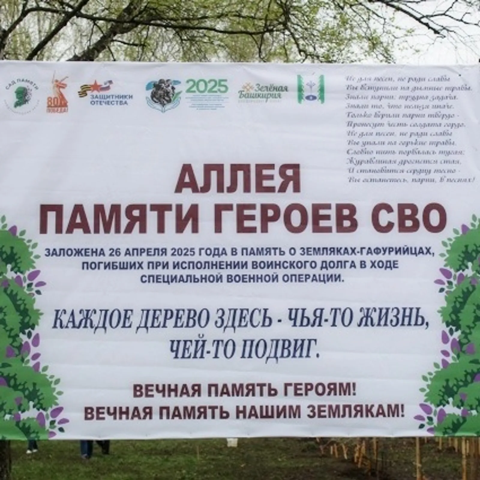 В Гафурийском районе заложили «Аллею памяти героев СВО