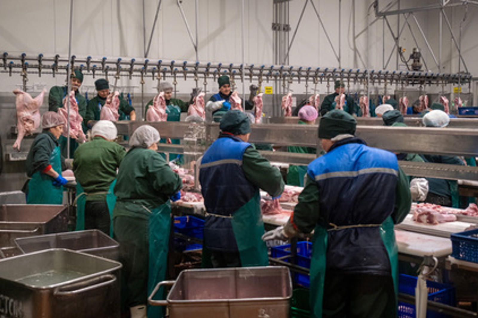 Башкортостан экспортировал в Конго 160 тонн индейки