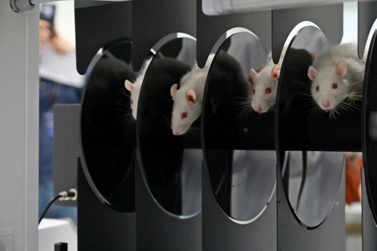 Перешли на новый этап в разработке антидепрессанта