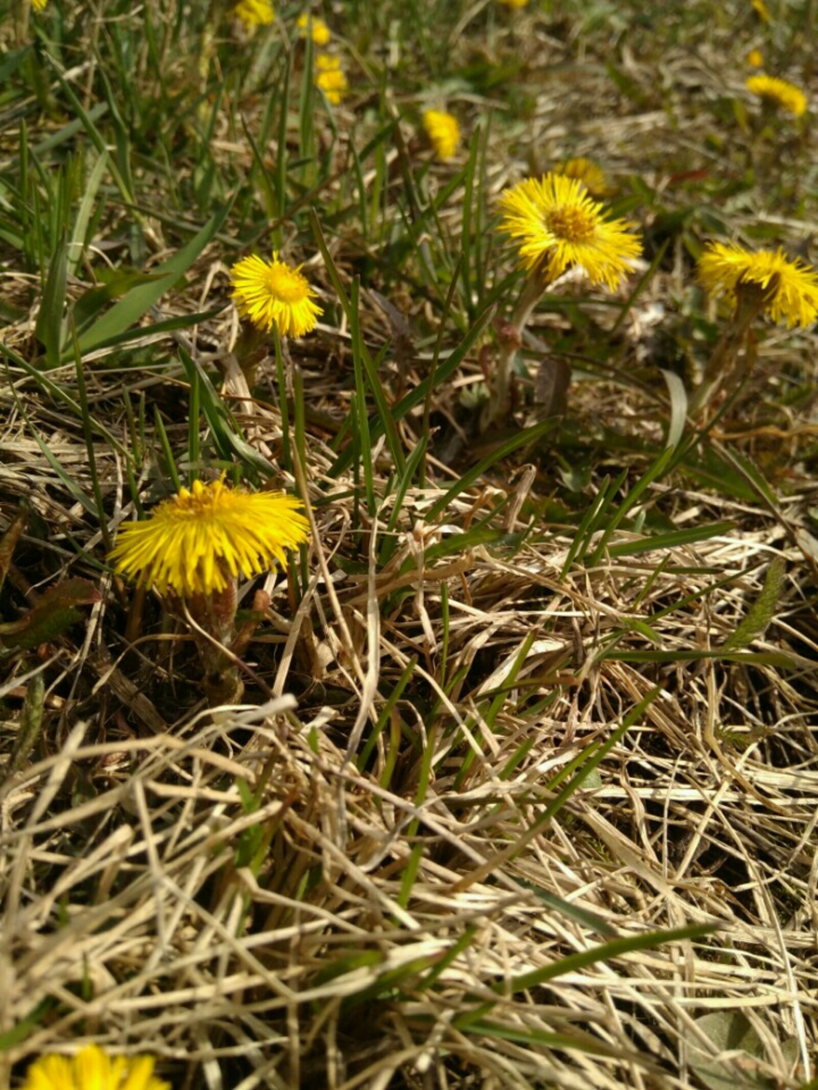 В Башкирии составили прогноз погоды на весну и лето