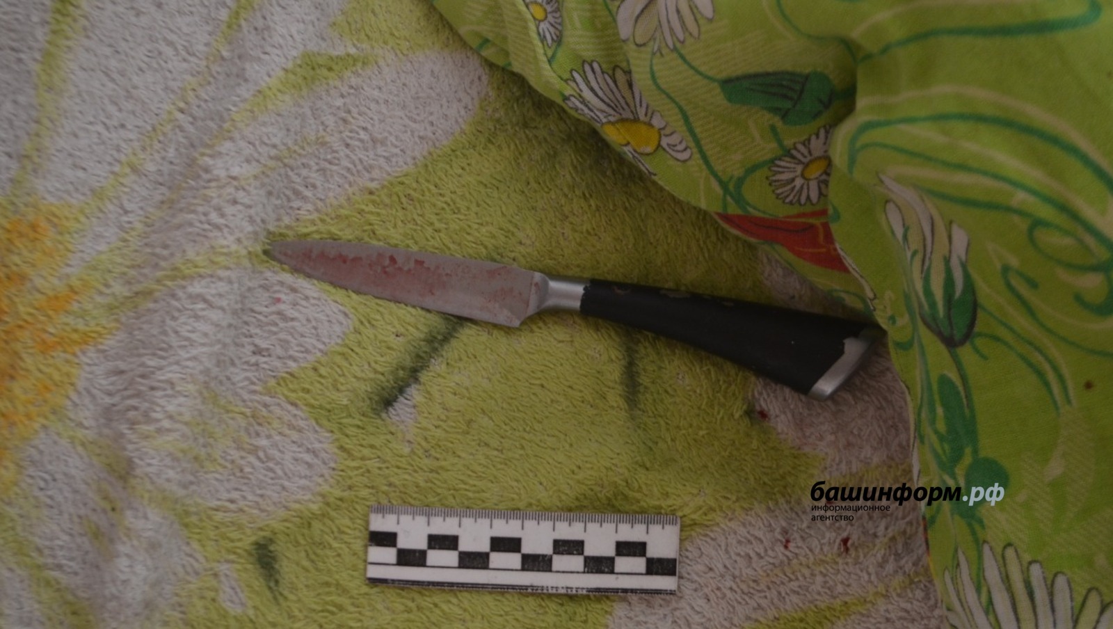 Житель Башкирии ударил жену ножом в шею