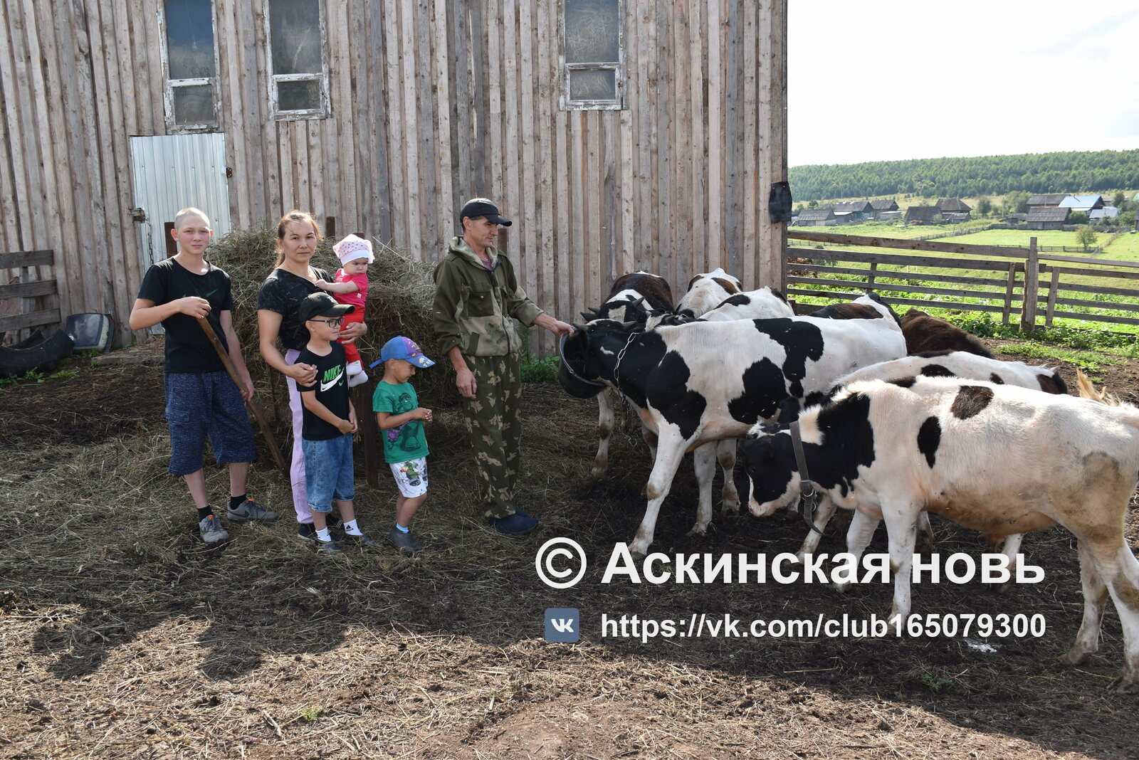 Благодаря трудолюбию живут в достатке Маухтдиновы развивают ЛПХ