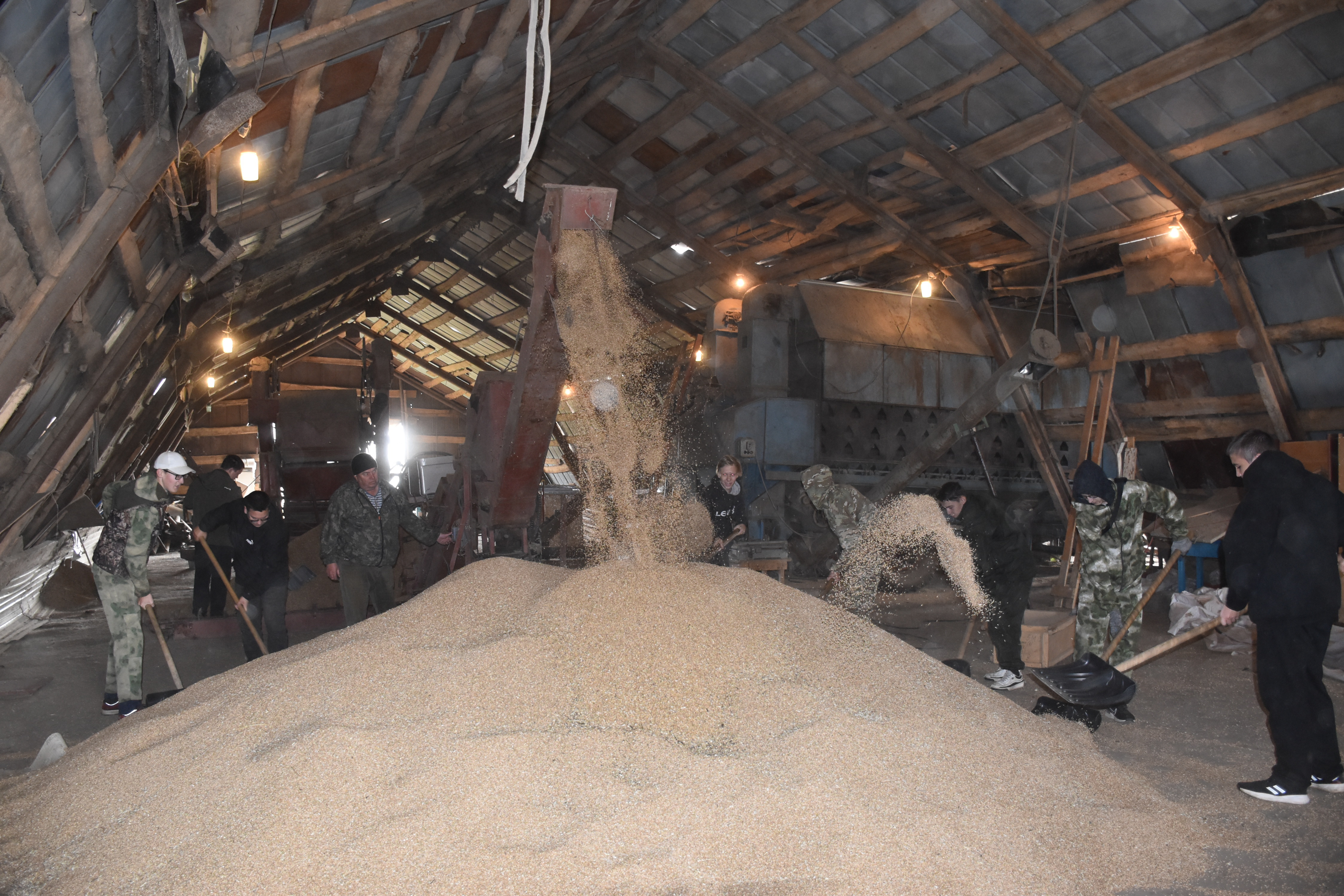 На финишной прямой уборочной страды