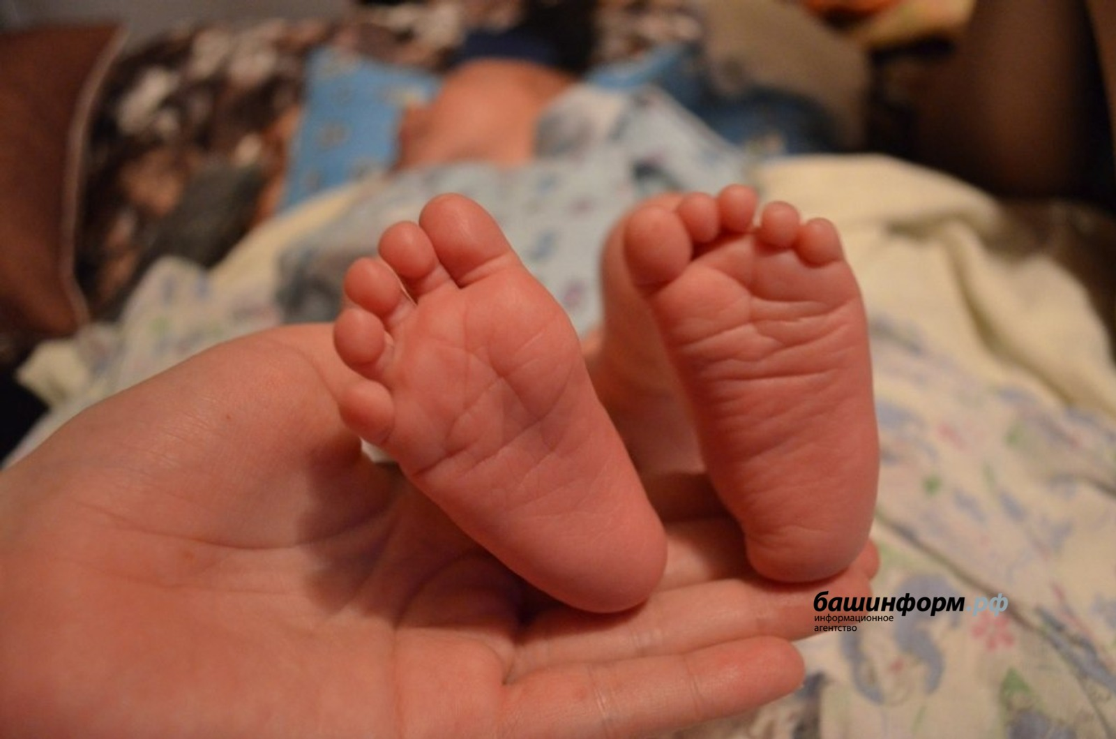 В Башкирии родились Данте и Арифа