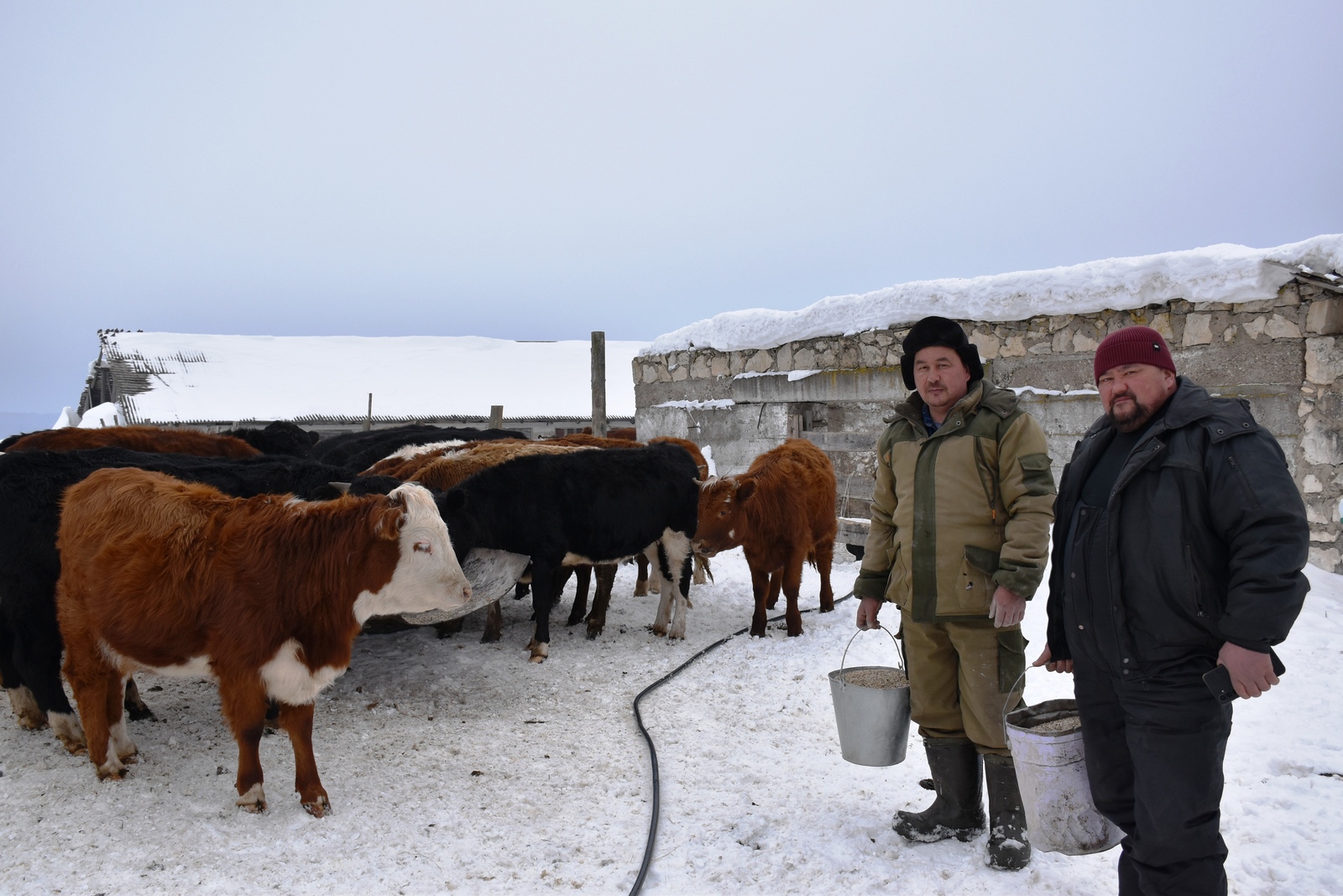 Рабочие будни КХ «Радуга»: от зимовки — к весенним заботам