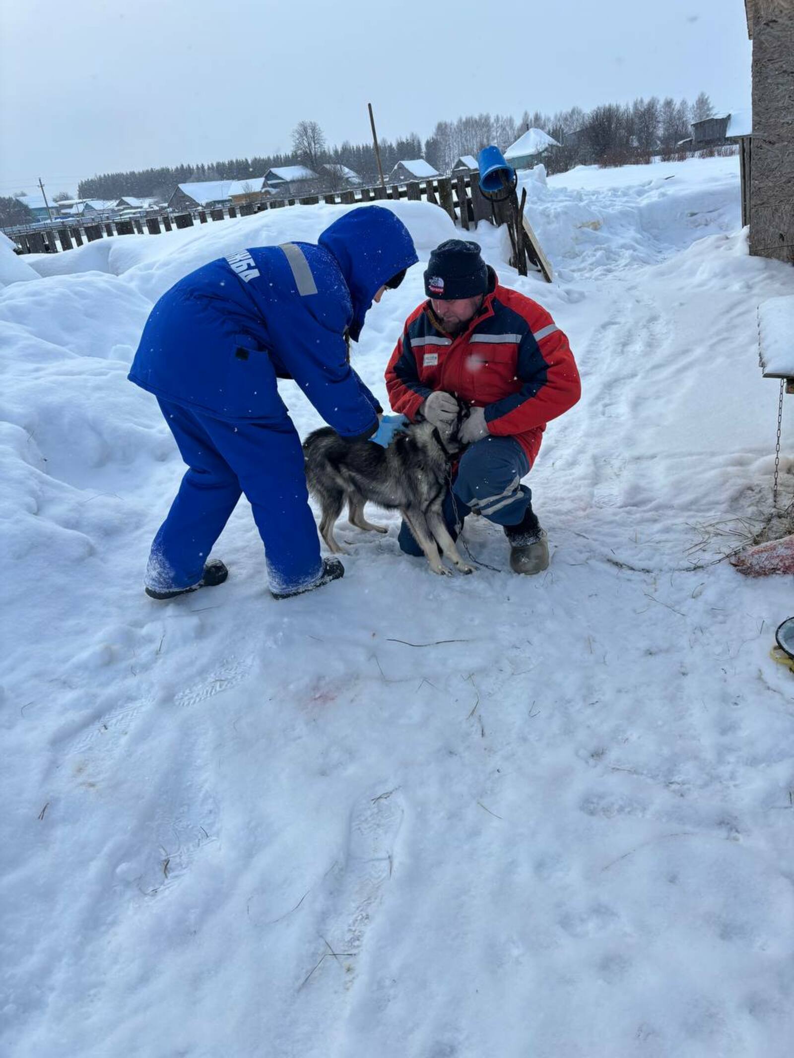 Ситуация с бешенством в районе под контролем