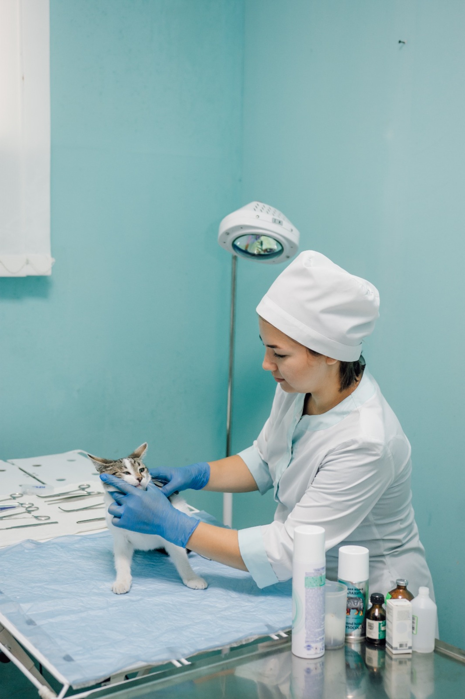 Стабильная эпизоотическая обстановка сохраняется в Аскинском районе