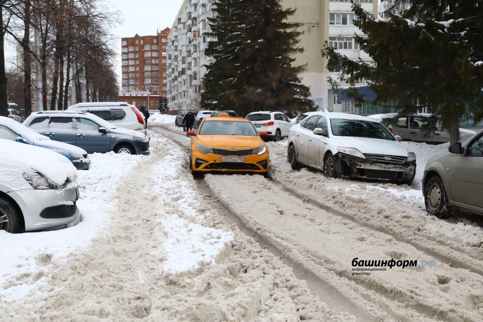 Стало известно, что больше всего беспокоит жителей Башкирии