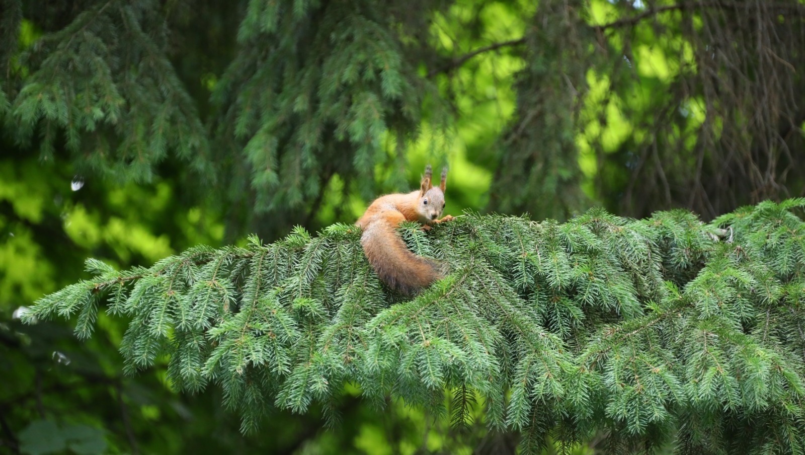 Центр реверсивного инжиниринга Уфимского государственного нефтяного технического