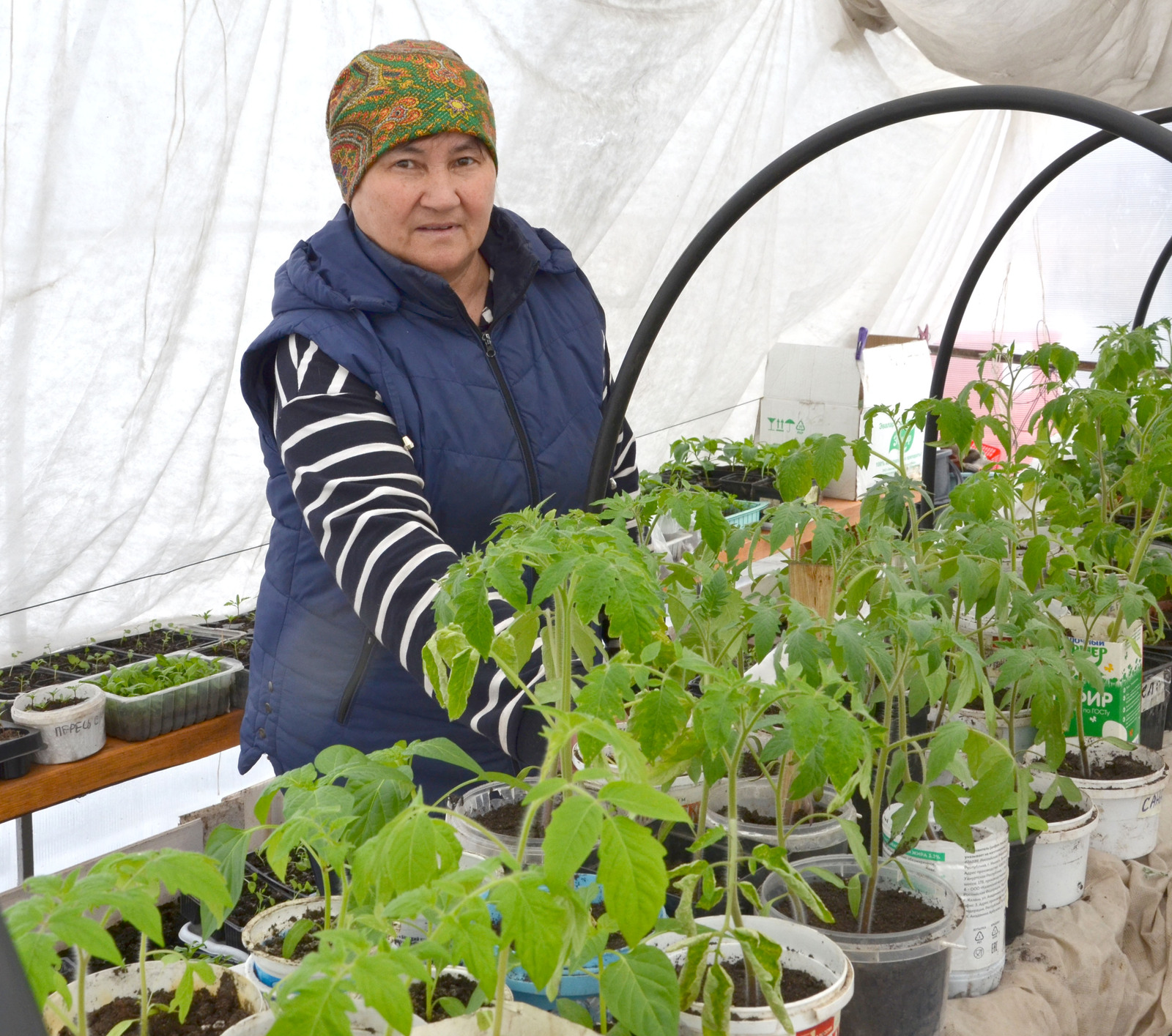 Опыт в садоводстве приходит с годами, — говорит Илюса Нигаматзянова
