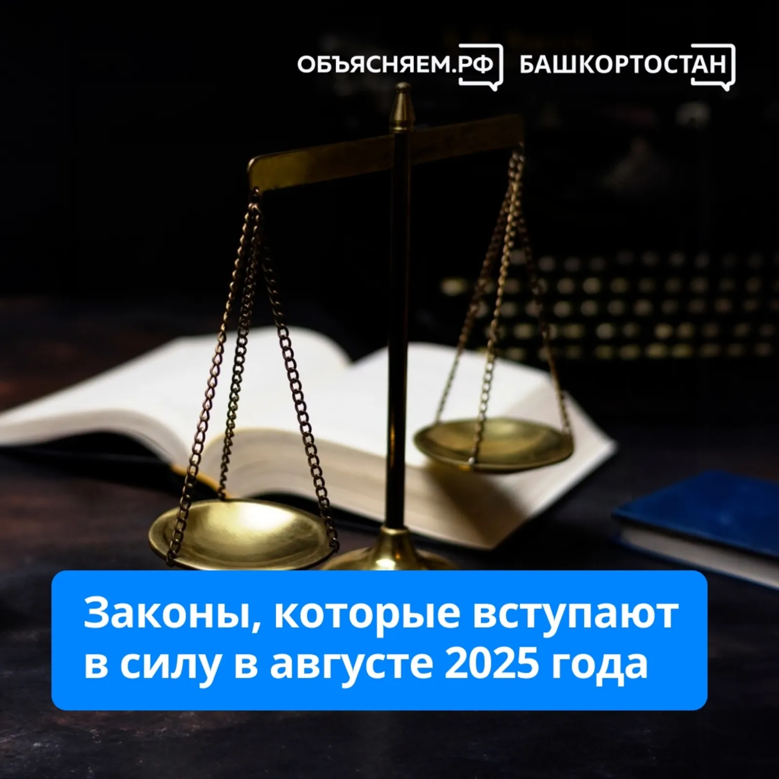 Новые законы которые вступили в силу в августе 2025 года