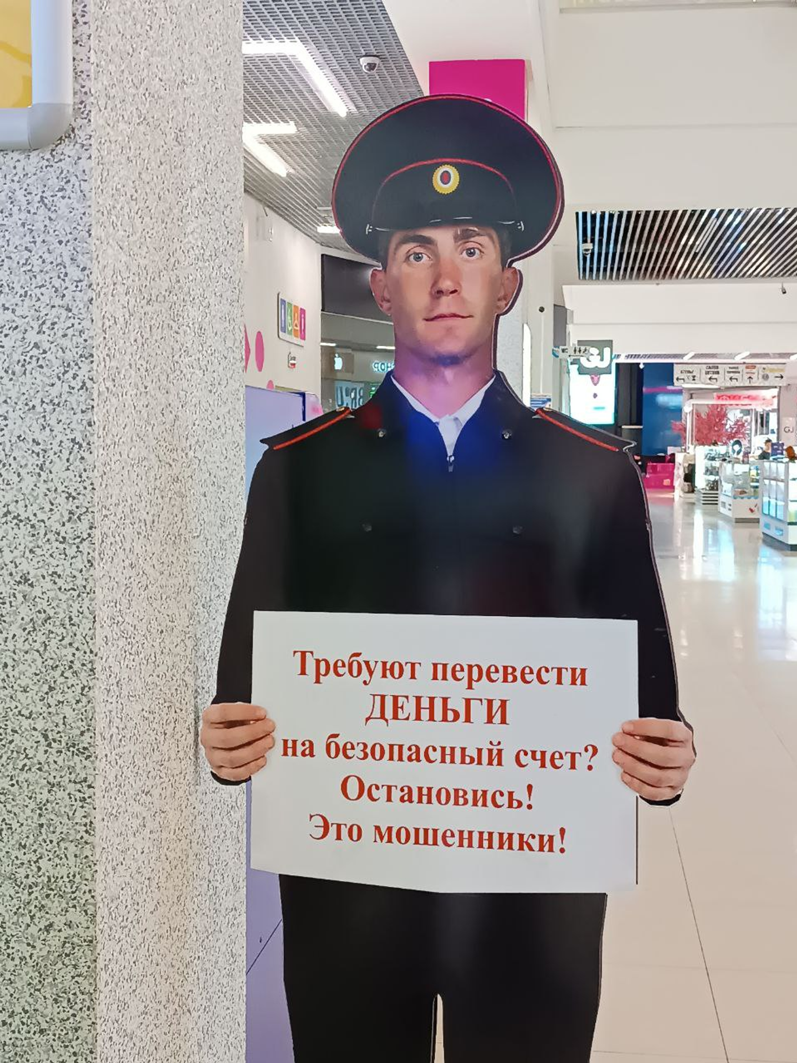 В России планируют усилить противодействие кибермошенничеству