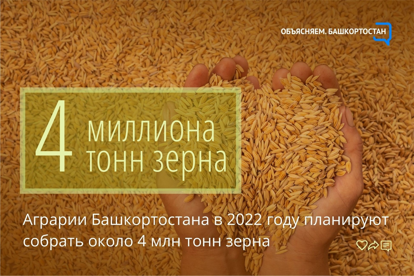 Жители Башкортостана без хлеба не останутся