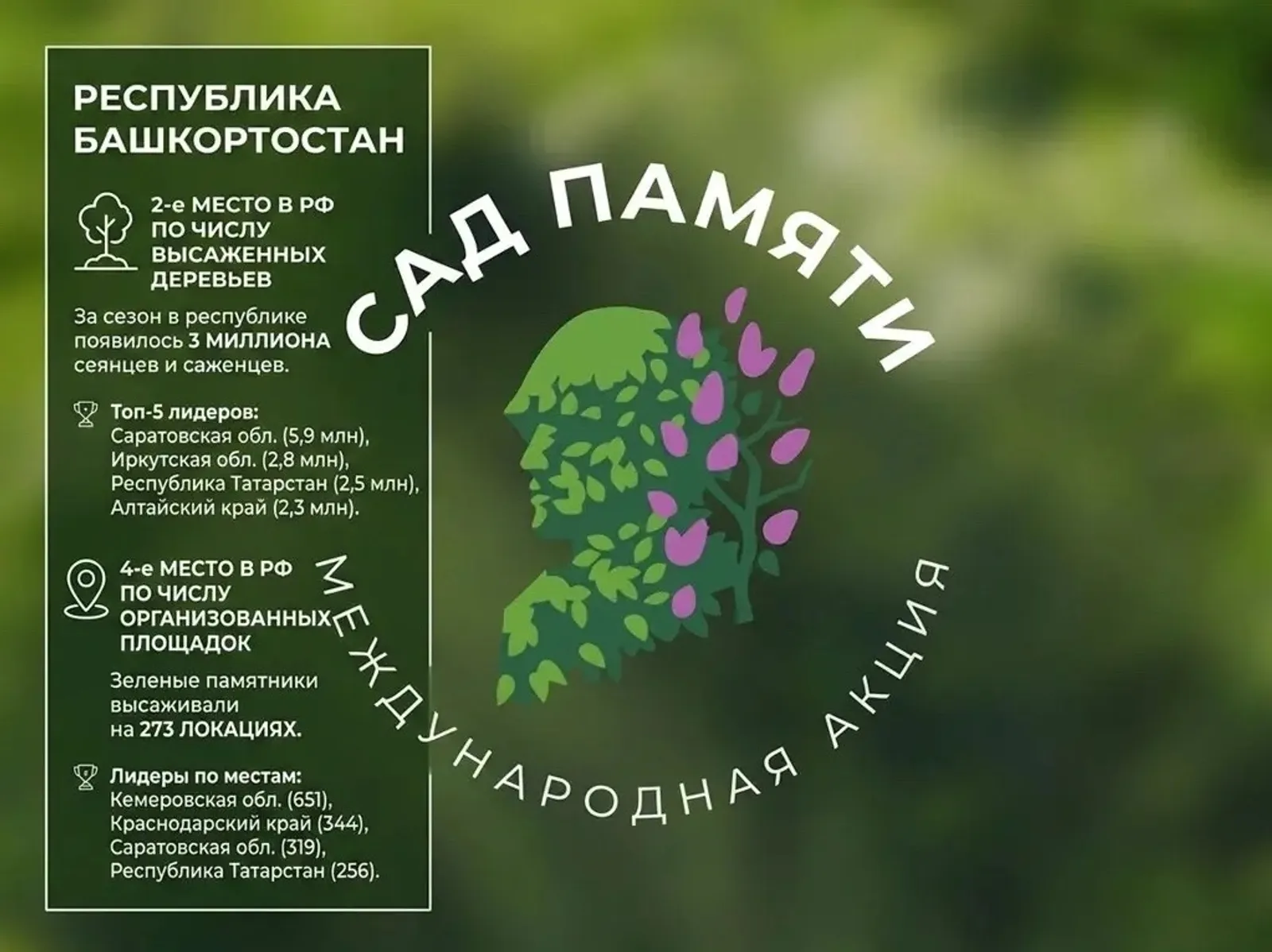 Башкортостан вновь в числе ведущих регионов России по итогам международной акции