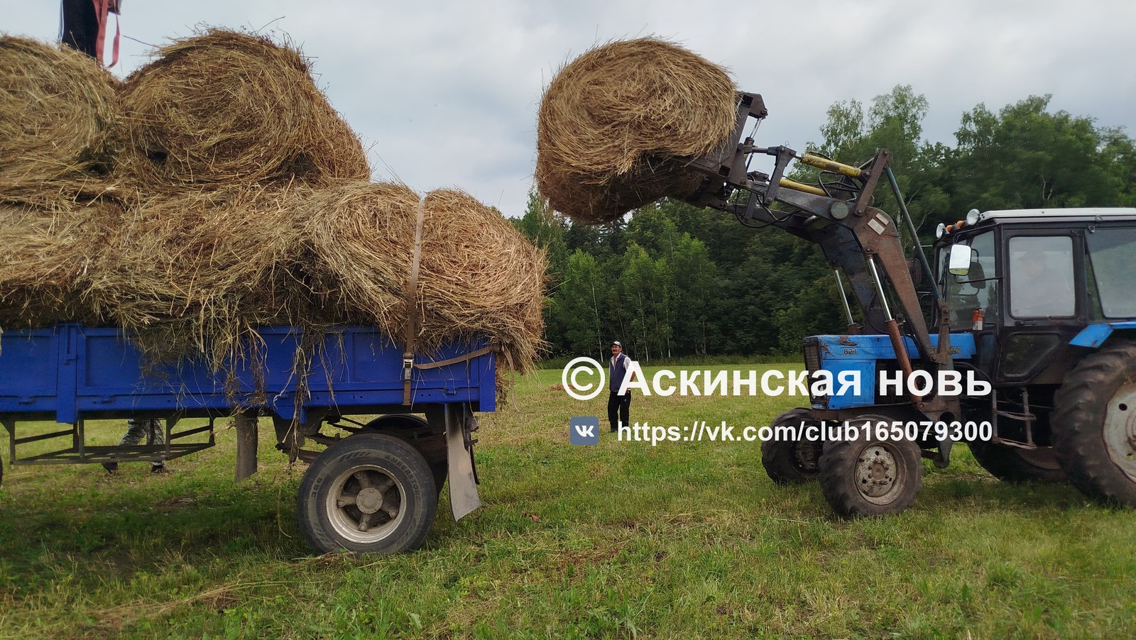 Кормоуборочная страда идет к завершению